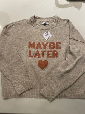 American Eagle Outfitters Oatmeal Crewneck Sweater with Rust Graphic